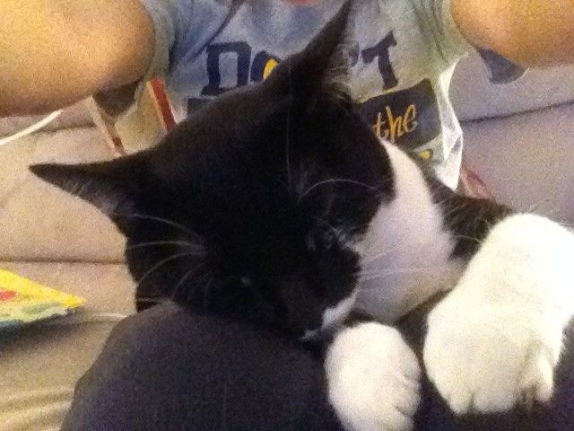 NWR- pets! We love them show me yours :)