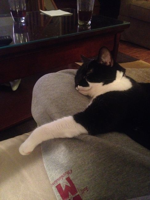 NWR- pets! We love them show me yours :)