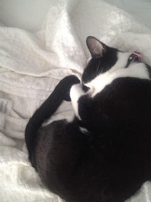 Show me your fur babies!