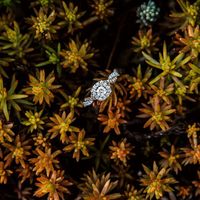 Show me your bling 💍 - 1
