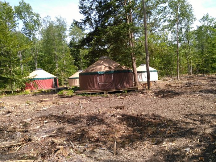 My venue got logged!! (vent!)
