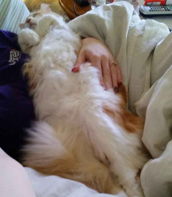 NWR Happy Fursday!!!