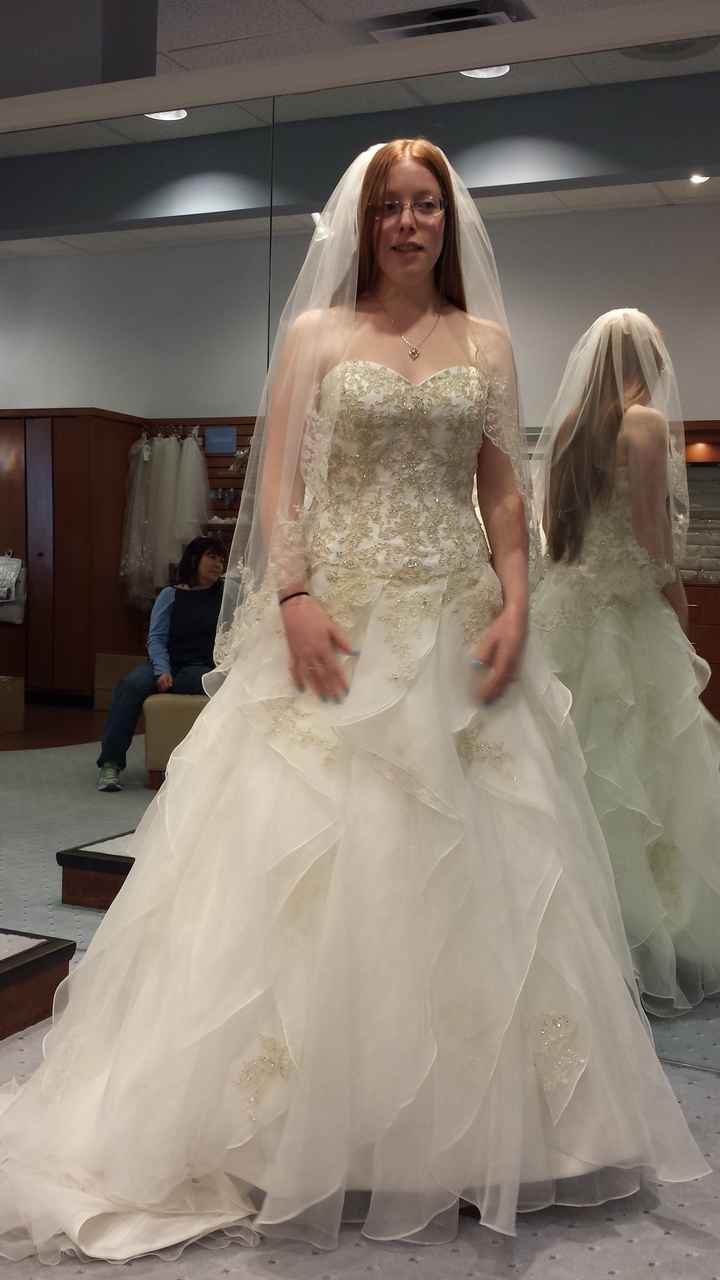 Show me your wedding dresses, and tell me where they are from,and the cost? :)
