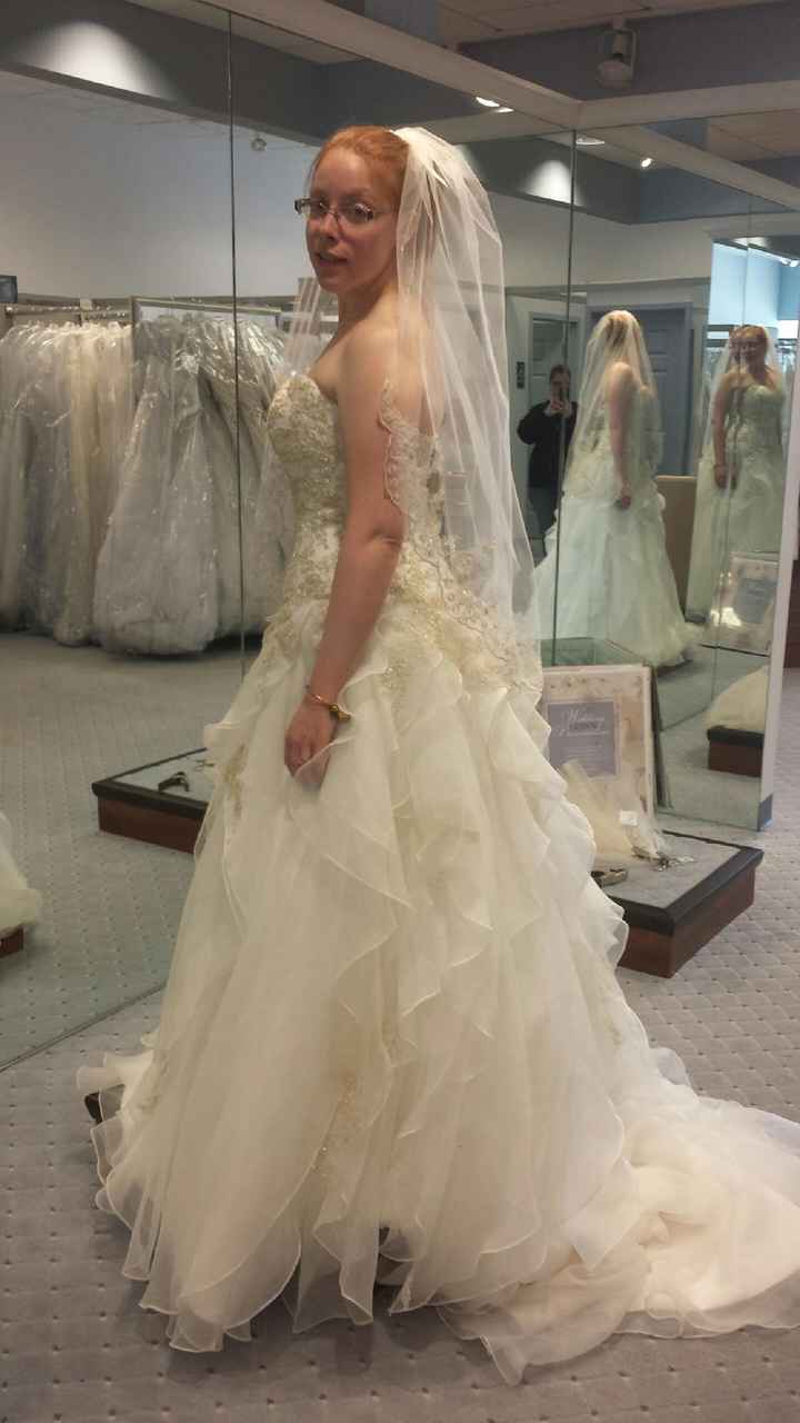 Dress Shopping (Pics)