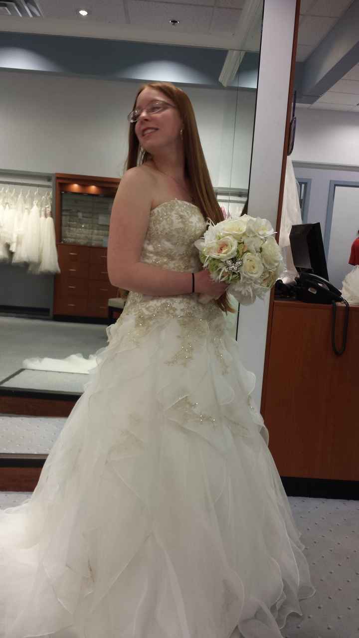 I said yes to dress #1 :) (pics added to post)