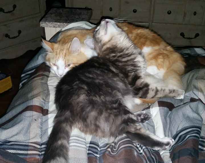 Happy Fursday Everyone!! :)