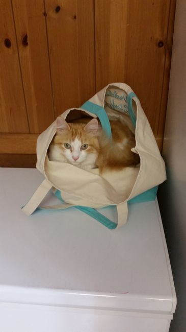 NWR: Happy Fursday!