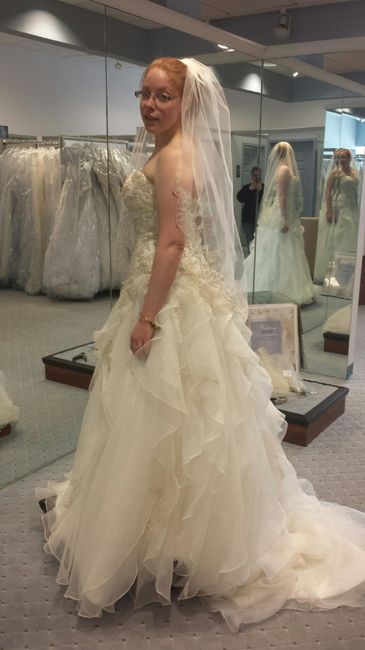 Dress Shopping (Pics)