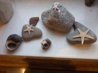 What is your wedding theme?