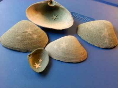 What is your wedding theme?