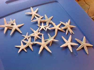 What is your wedding theme?