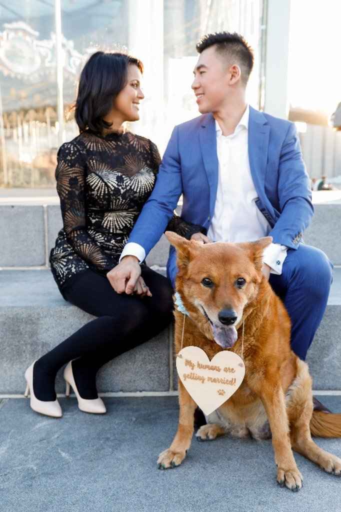 Engagement photos w/ dogs - 1