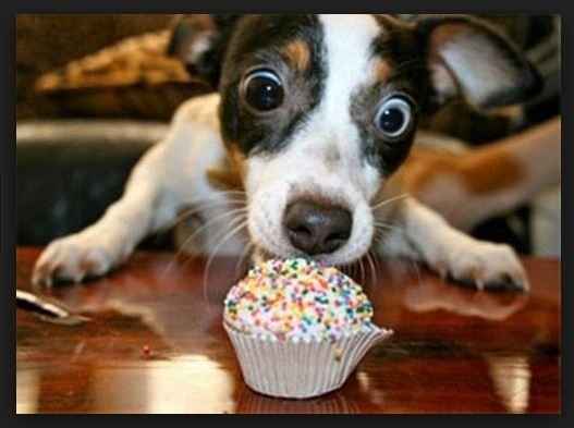 KWR Stressing the F out :(