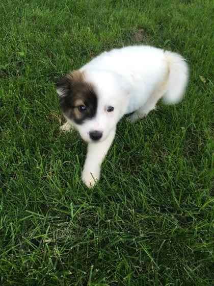 KWR Stressing the F out :(