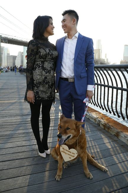 Engagement photos w/ or w/out pets