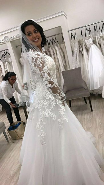 The dress