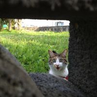 Hey Chicago! Are you ready for a social?