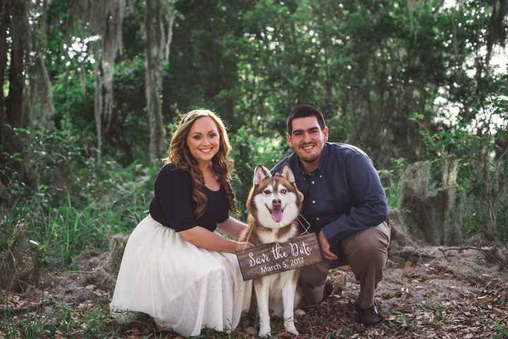 Engagement pics