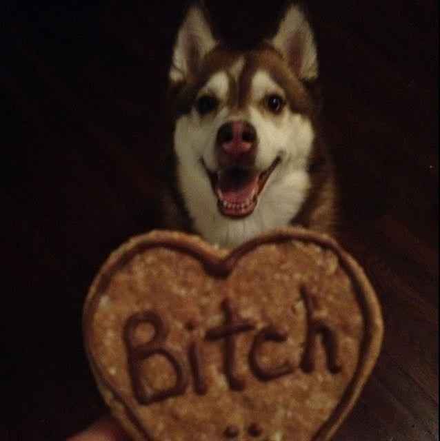 Sick and need cheering up--show me your Fur babies!