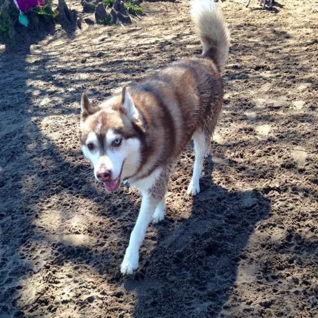 NWR: post pics of your pets!!