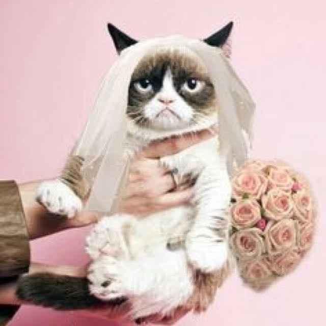 Postponing the wedding