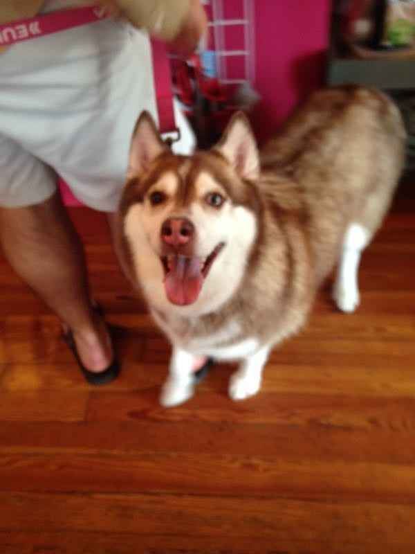 NWR- pets! We love them show me yours :)