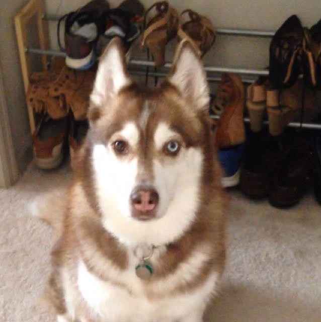 NWR: it's my dogs birthday!