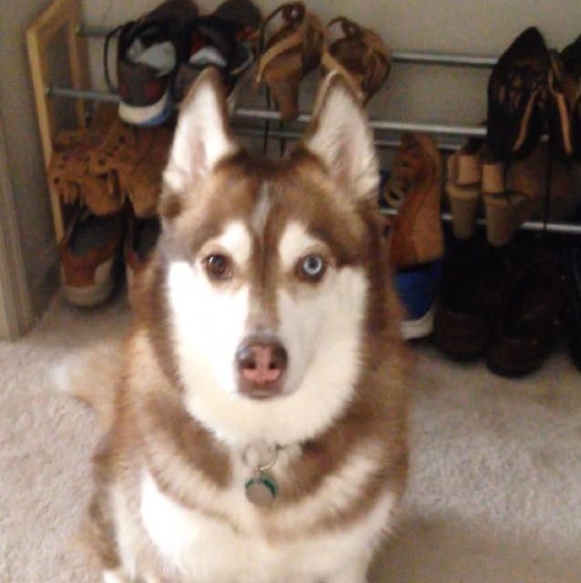 NWR: it's my dogs birthday!