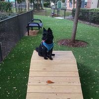 Show off your fur babies!