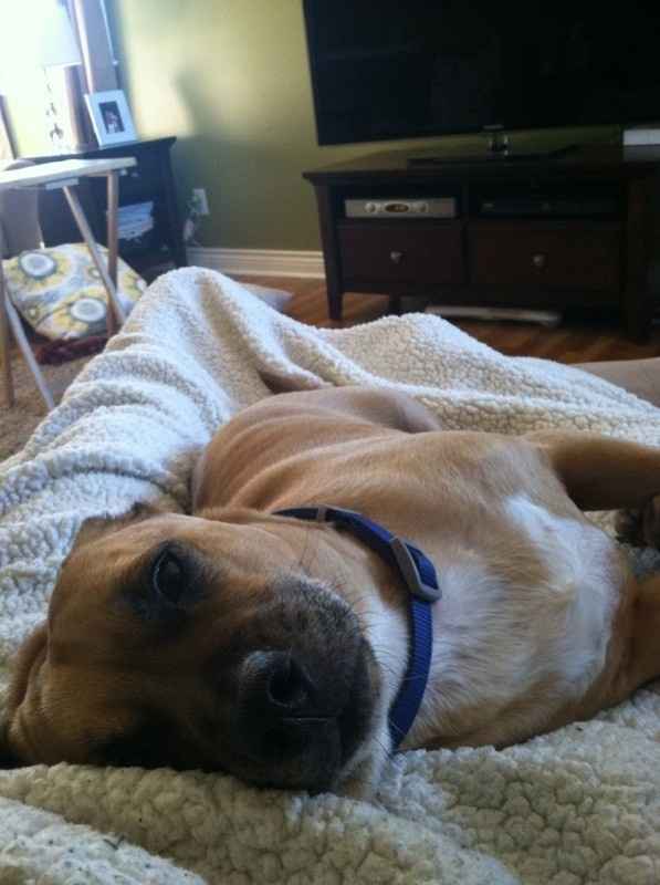 NWR: Fur Baby! :)