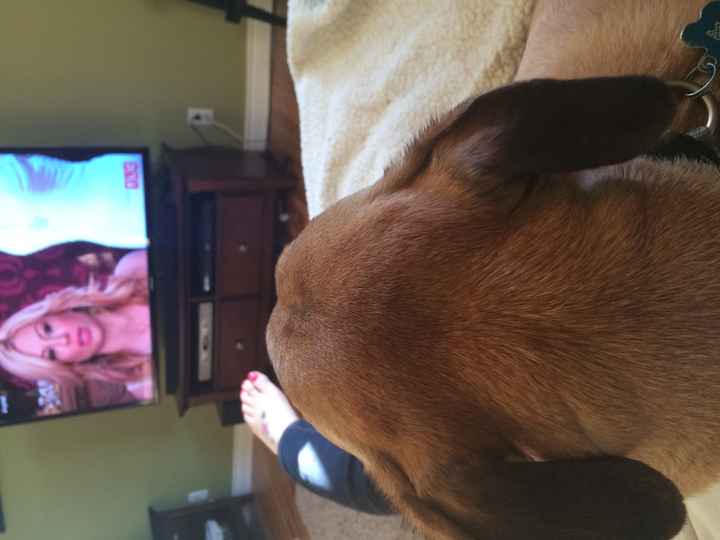 Its Friday Brideday !! Anyone else watch TLC marathon
