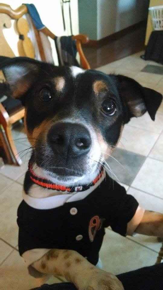 We havent had a pet post in a minute.