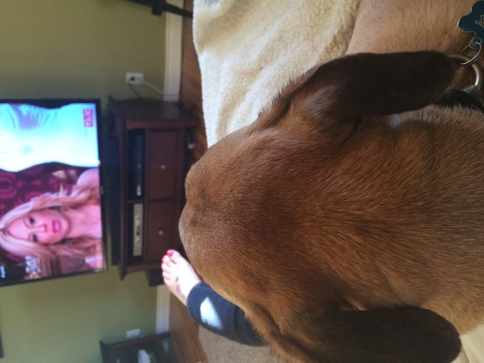 Its Friday Brideday !! Anyone else watch TLC marathon