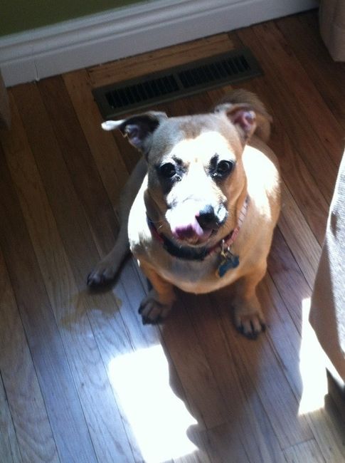 NWR: Pics of your pets :)