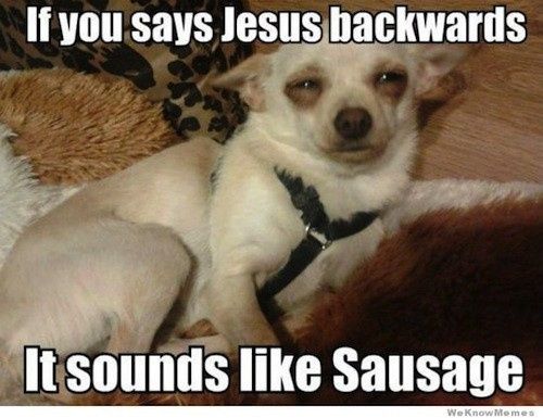 NWR: Happy Furry Fursday, let's see them fur babies!
