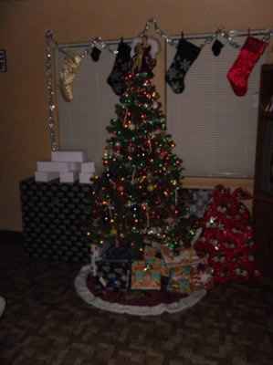 NWR- O Christmas Tree