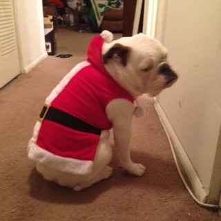 KWR: Anyone Sending Christmas/Holiday Cards?