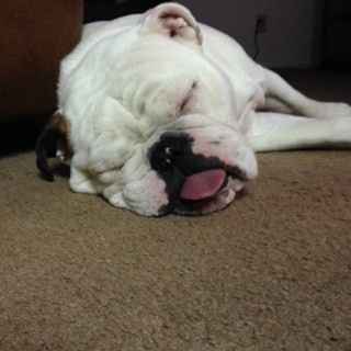 NWR: Mrs. A & J - This one's for you!!