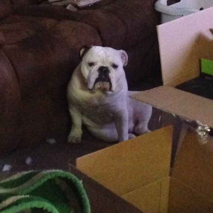 NWR: What is your pet scared of?