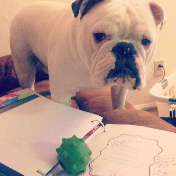 Its Fursday! Show me your furbabies! :)