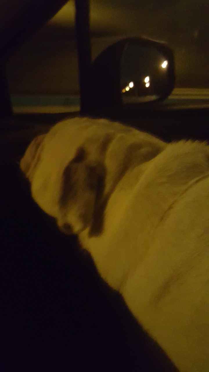 NWR Happy Fursday!!!