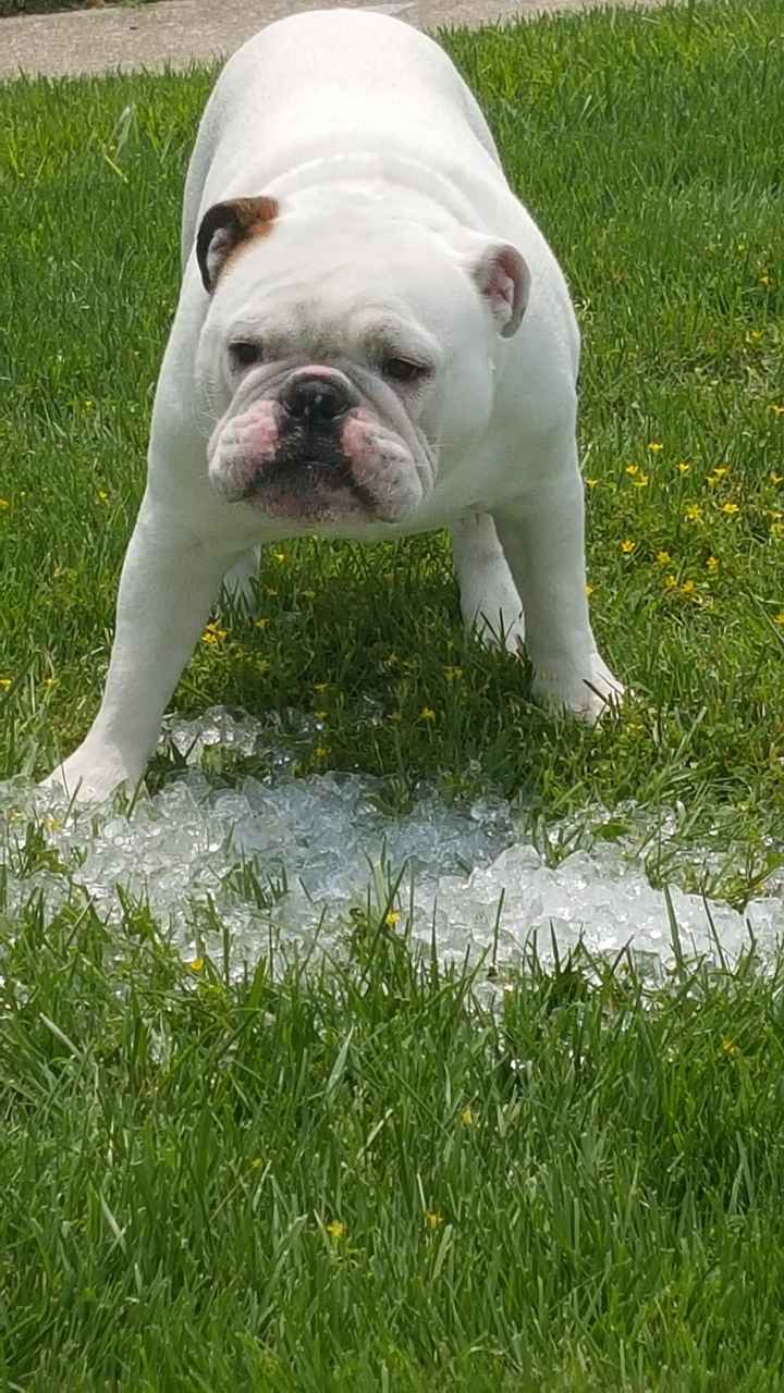 Happy Fursday Everyone!! :)