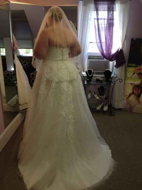 Where are my plus size brides?