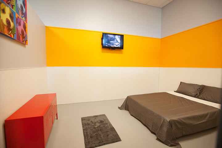 Pet Accommodations During the Honeymoon