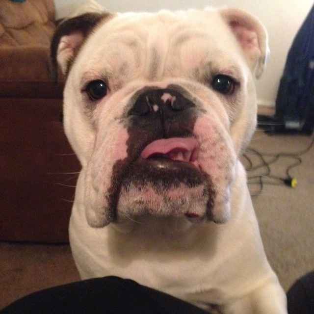 A year from today! And an introduction.