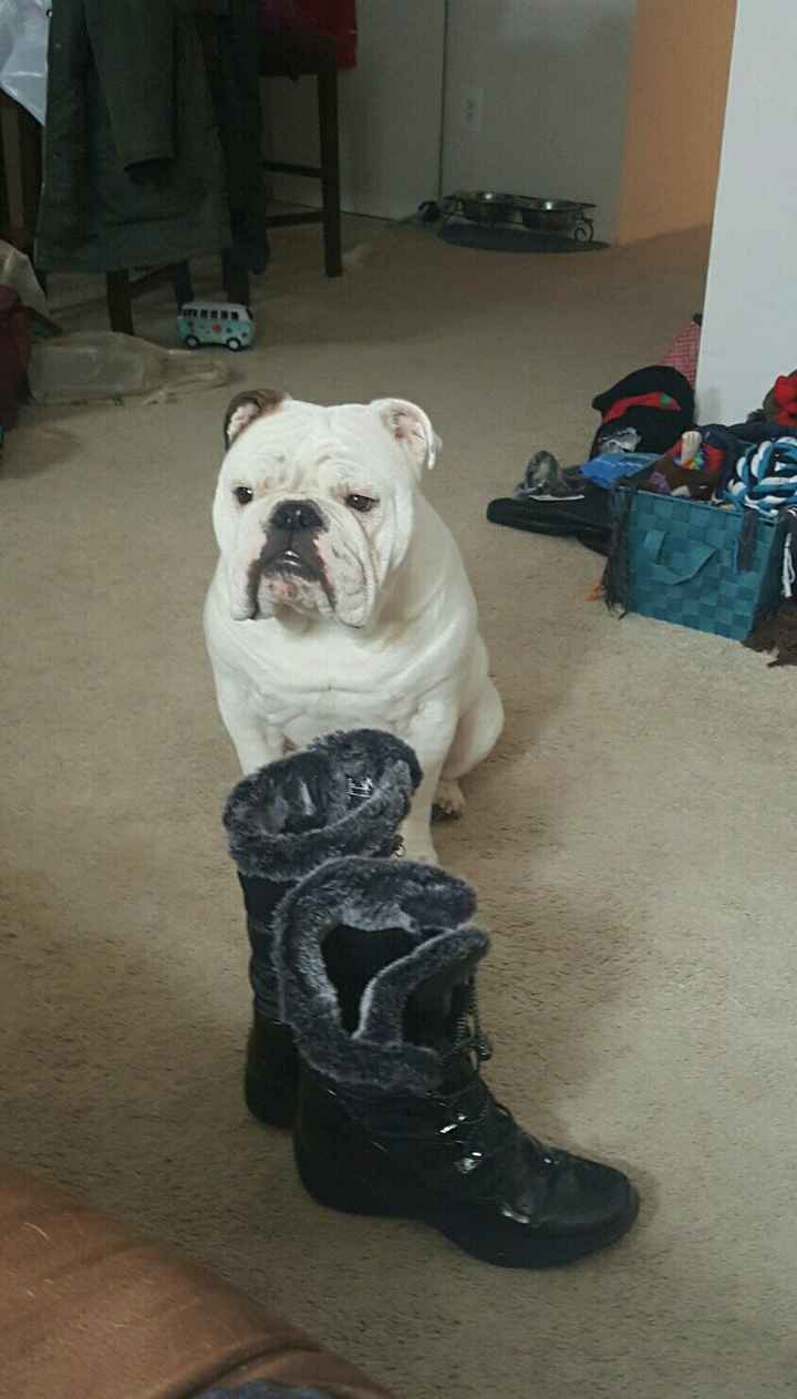 East Coast!! Show me your snow pictures!