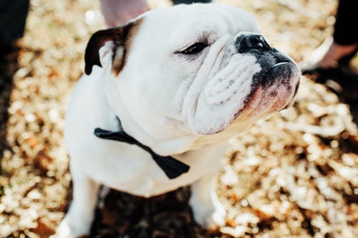 Got a new puppy, lets see a pic of your pets