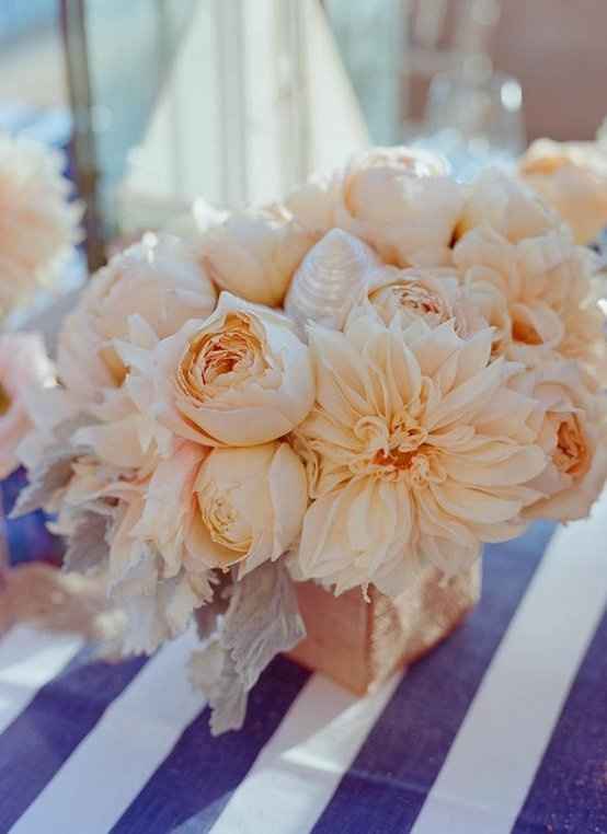 I am back and ready to plan, need advice!!