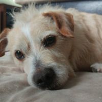 NWR: Show me your pups!