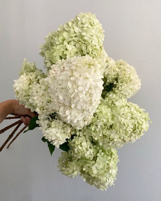 Help with bridal bouquet 10